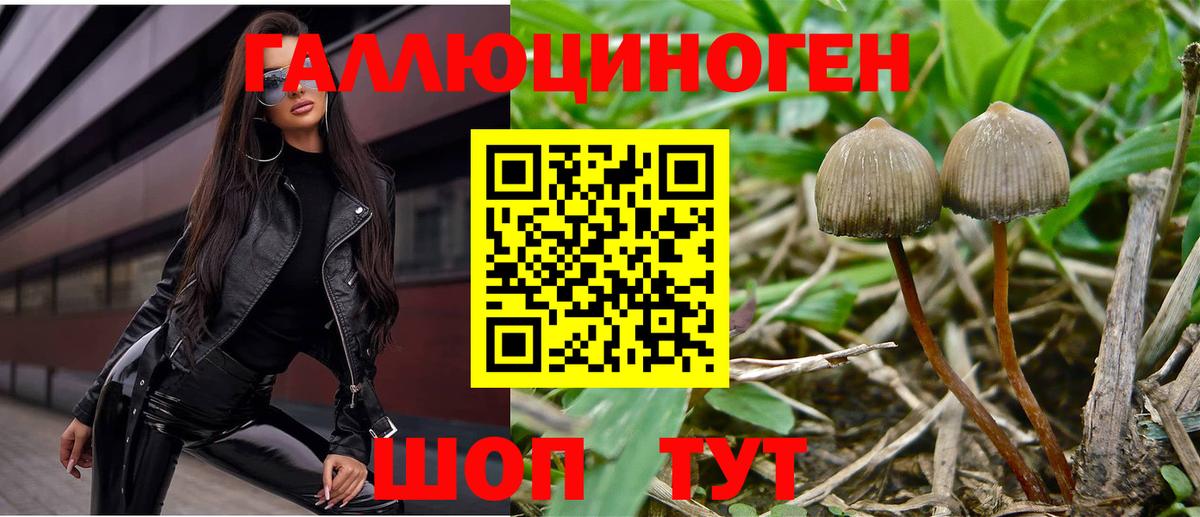 Галлюциногенные грибы прущие грибы Аксай