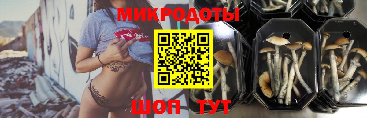 Псилоцибиновые грибы мухоморы  закладка  Аксай  Вход с VPN  Галлюциногенные грибы мицелий 